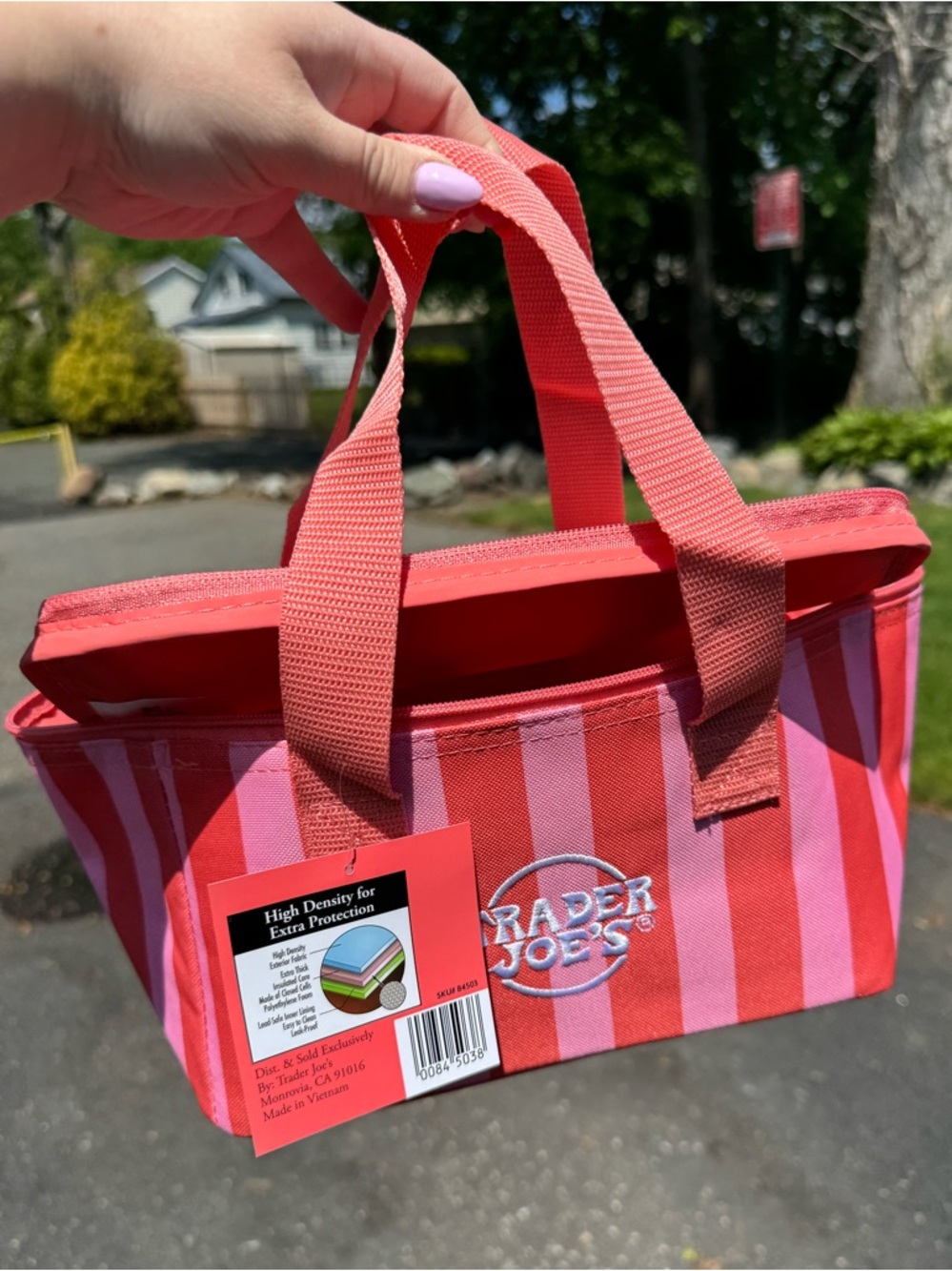 NWT! Trader Joe's Pink Striped Mini Insulated Bag